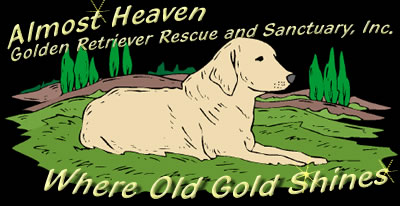 Almost Heaven Golden Retriever Rescue & Sanctuary - Where Old Gold Shines