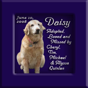 Daisy's Memorial June 10, 2008