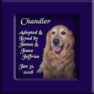 Chandler's Memorial January 31, 2008