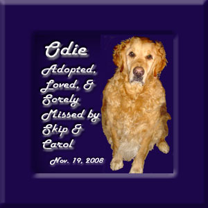 Odie's Memorial November 19, 2008