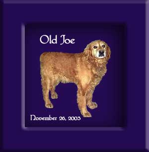 Old Joe's Memorial December 26, 2003