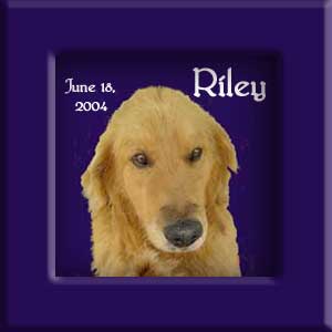 Riley's Memorial June 18, 2004
