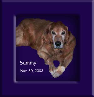 Sammy's Memorial November 30, 2002