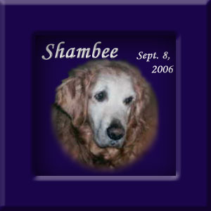 Shambee's Memorial September 8, 2006