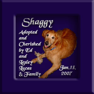 Shaggy's Memorial Jan 13, 2007