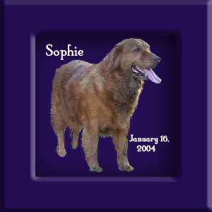 Sophie's Memorial January 16, 2004