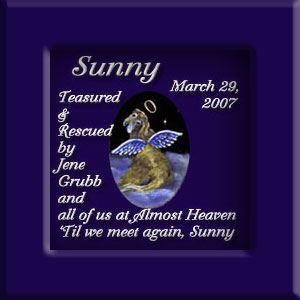 Sunny's Memorial March 29, 2007