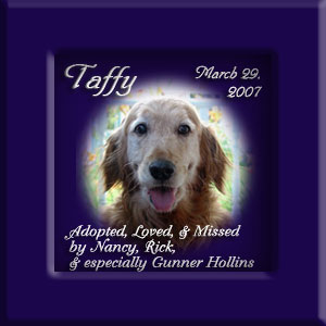 Taffy's Memorial March 29, 2007